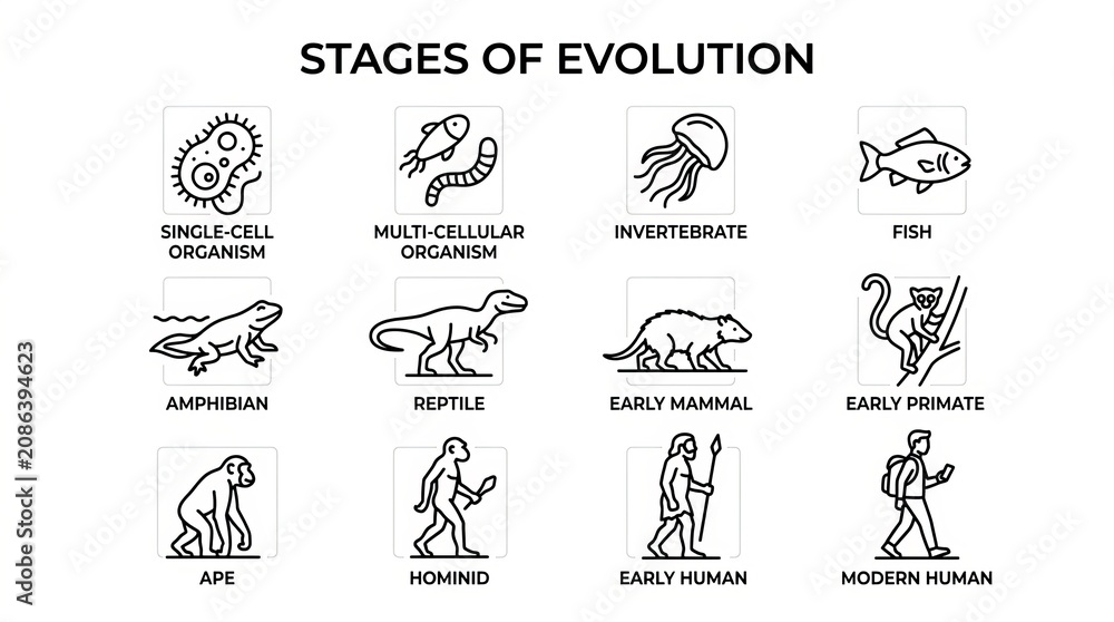 Fototapeta premium Illustrated Stages of Evolution from Microorganisms to Modern Humans.