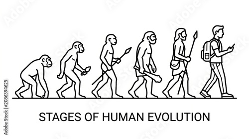 Illustration of Progressive Stages in Human Evolution from Primate to Modern Man.