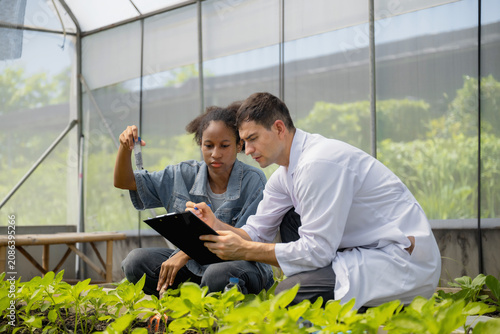 Teenage students studying and analyzing soil in research project, with scientists analyzing samples in greenhouse. Greenhouse experiments on soil nutrients. Practical training in agricultural lab