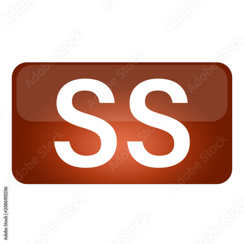 SS white-Vector