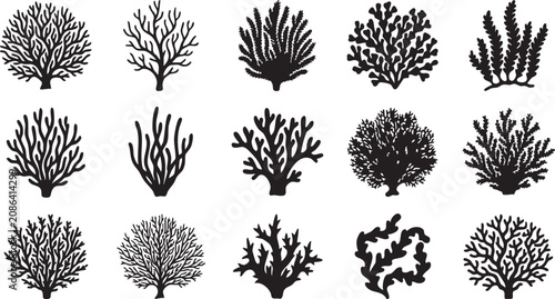 Coral vector silhouette collection of underwater marine plants, sea, seaweed, ocean, nature, reef