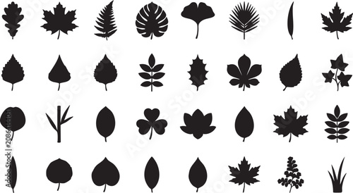 Leaves collection of black botanical silhouettes for graphic design, silhouette, nature, vector, icon, set