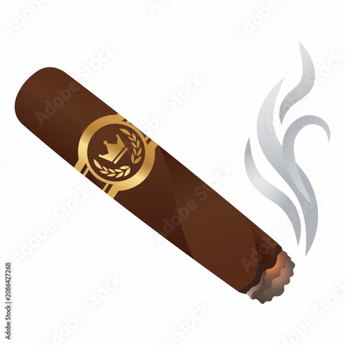 Bild auf Leinwand Premium cigar with golden band and smoke, luxury concept
