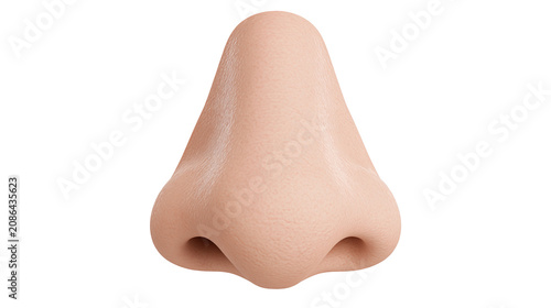 Tableau sur toile Human nose with nostrils and skin texture