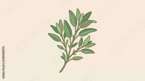 Schilderij op canvas Illustrated Green Leafy Branch with Fresh Foliage.