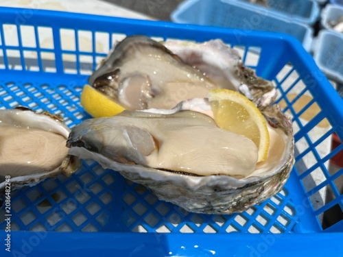 Fresh Oyster