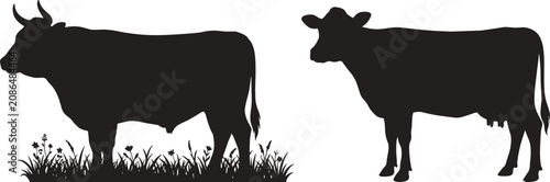 Fotografija Bull and Dairy Cow Black Silhouette Vector Set with Grass Details for Cattle Bre