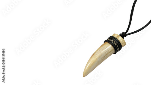 Canvastavla Ancient wild animal tooth tusk claw predatory element isolated on a transparent