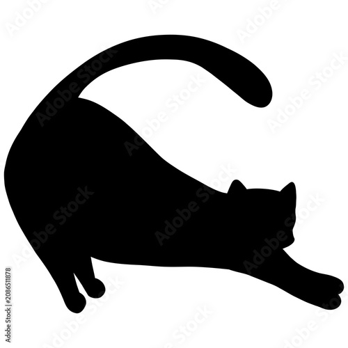 Canvas Print black cat silhouette, Vector illustration