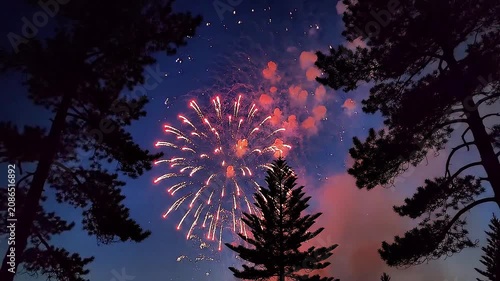Red fireworks bursting in a dark night sky with tall pine tree silhouettes. Ideal for holiday and celebration concepts.