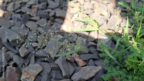 Dark railway ballast gravel with scattered leaves