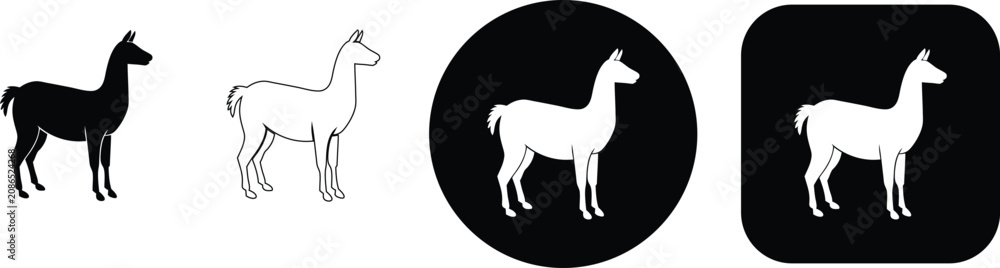 Fototapeta premium Four variations of a llama animal featuring solid black, thin line, and white silhouettes on circular and square bases