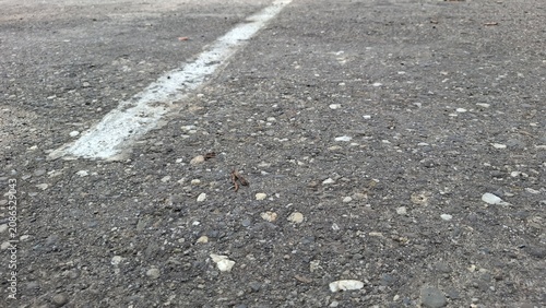 White road marking line on grey asphalt