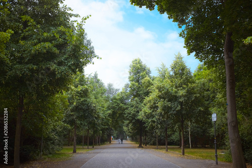 Berlin, Germany: tranquil pedestrian pathway alley lined with lush green trees in the historic Tiergarten public city park, cityscape on a bright day
