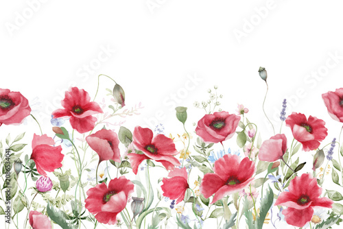 Watercolor Red Poppy Flower Seamless Border Vector with White Background