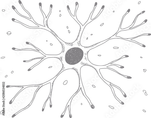 Fotografie Stylized of a neuron with dendrites and nucleus