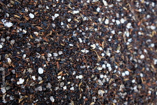 Foto Premium well draining potting mix for cacti and succulents