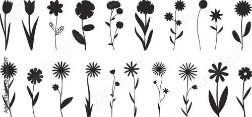 Vászonkép プロジェクト用に白の背景に分離された様々な手描きの花のシルエットのコレクション