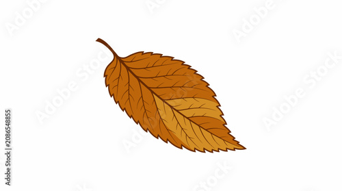 Canvastavla A brown leaf falls from a tree in autumn season 20260702