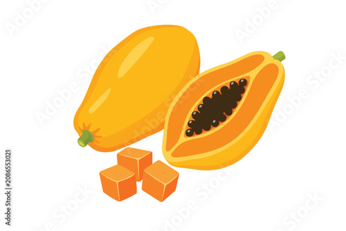 papaya isolated on a white background. Vector illustration cartoon