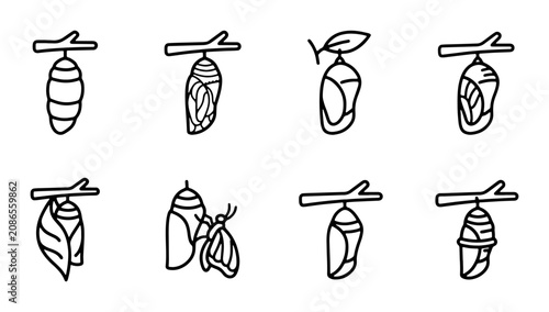 Canvastavla Butterfly Metamorphosis Stages, Insect Life Cycle Vector Icons, Chrysalis Develo