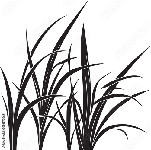 Simple silhouette of long grass blades cluster with silhouette botanical illustration ornamental background landscape decorative isolated