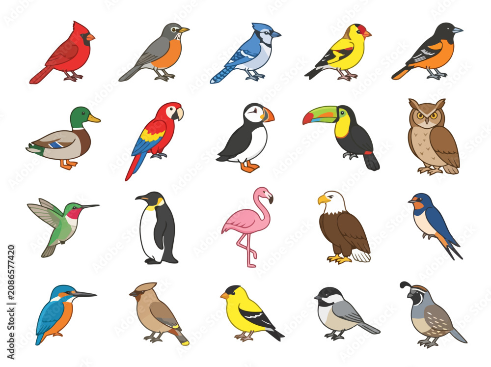 Fototapeta premium A collection of twenty colorful cartoon bird illustrations arranged in a grid.