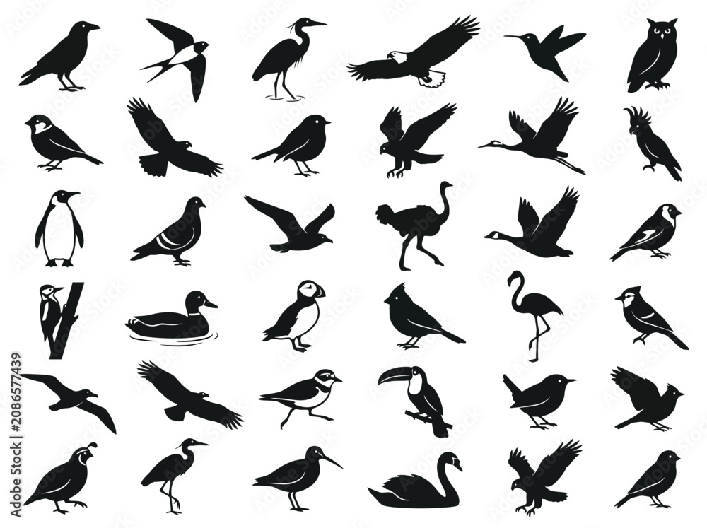 Fototapeta premium A collection of various bird species silhouettes in black and white.
