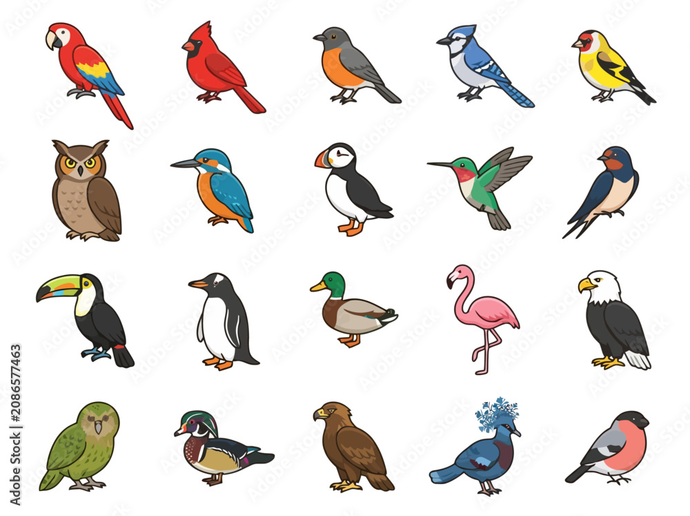 Fototapeta premium A collection of diverse bird species illustrated in a colorful cartoon style.