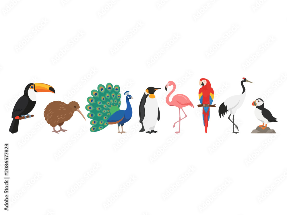 Fototapeta premium A collection of various colorful bird species standing in a horizontal row.
