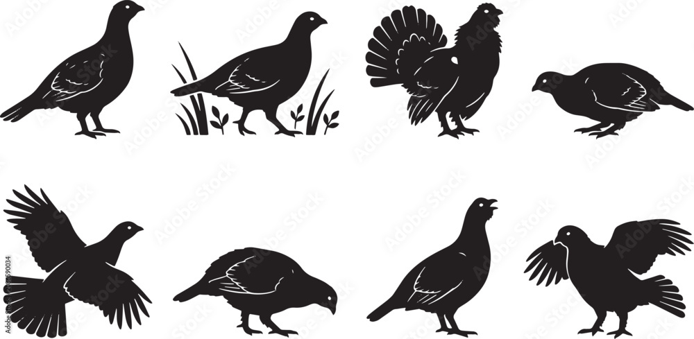 Fototapeta premium Black Grouse Bird Silhouettes, Vector Icons, Wildlife Symbols, Hunting Illustrations isolated on Transparent Background