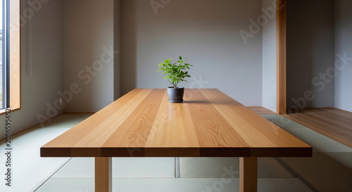 Minimalist wooden table with potted plant in modern room