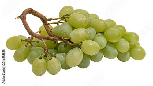 Fresh green grapes cluster with woody stem, isolated on transparent background