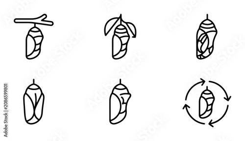 Konstfotografi Butterfly Chrysalis Icons, Metamorphosis Stages, Insect Life Cycle Vector Set