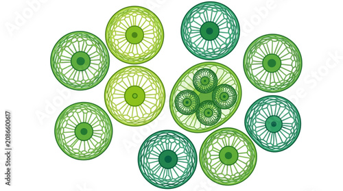 фотографія An illustration of green circular patterns arranged in a heart shape on a white background to recreate a vibrant visual effect