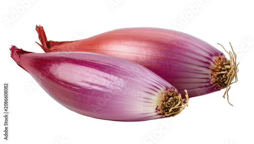 Obraz na plátně Two elongated red onions with purple skin and roots