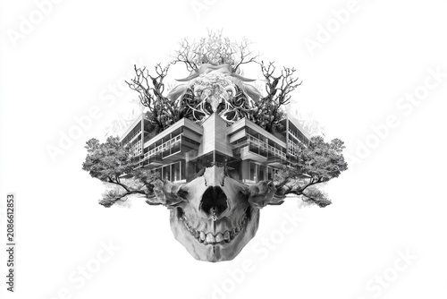 Symmetrical Conceptual Art of Modern Architecture Sprouting From a Human Skull with Roots and Trees