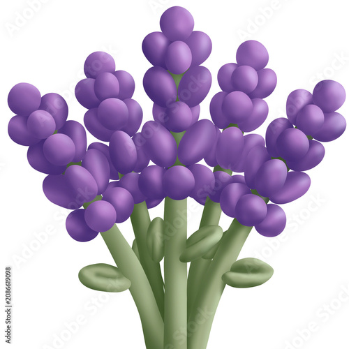 bunch of lavender flowers