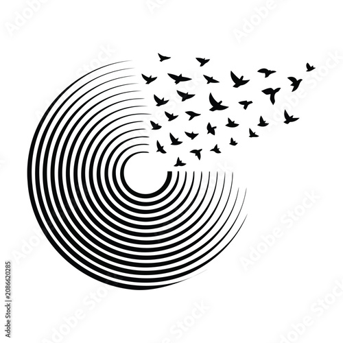 Swirl of circles transforming into flock of birds, abstract design.