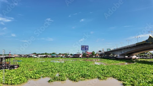 Wide daytime shot of the Chao Phraya River in Pak Kret, Thailand, thickly covered with floating green water hyacinth weeds next to a large concrete highway bridge and local riverside stilt houses.