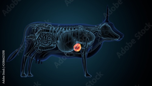 Blue cow anatomy. 3d render