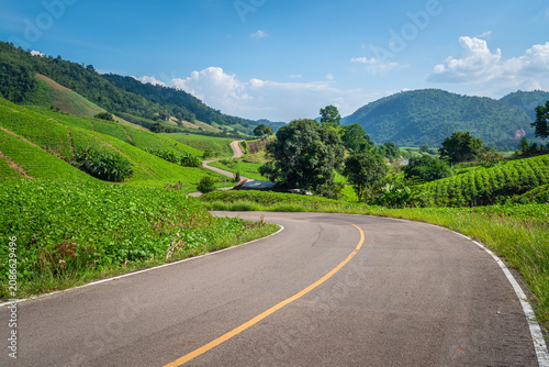 Принти на полотні The beautiful Curve 33 highway winds through a lush green mung bean field in Mae Sot, Tak, Thailand