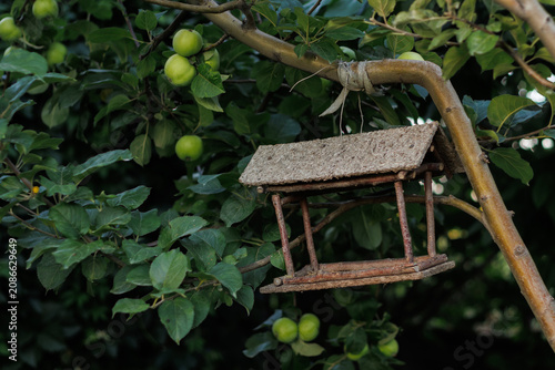 Slika na platnu bird feeder on a tree branch with green apples