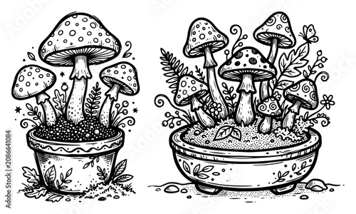 Obraz na płótnie Fly agaric mushrooms growing in garden pots in botanical line art style