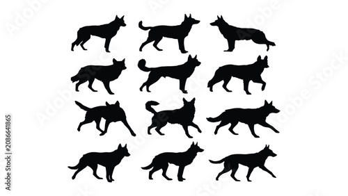 Konstfotografi Dog silhouettes collection showcases various breeds of canine animals in multiple poses on a plain white background