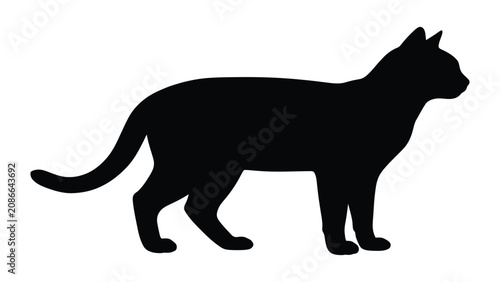 Tableau sur toile Cat silhouette features a sleek shorthair feline standing in profile against a clean white backdrop