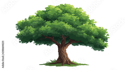 Fotografía Tree with lush green foliage stands centered against a pure white background providing ample copy space
