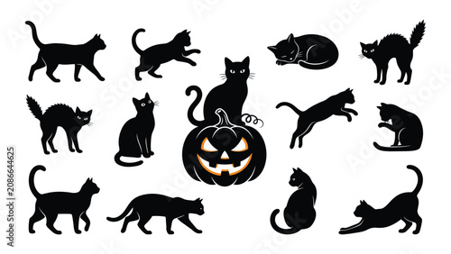 Photos Cats silhouettes in various poses surround a spooky carved pumpkin to celebrate the Halloween season