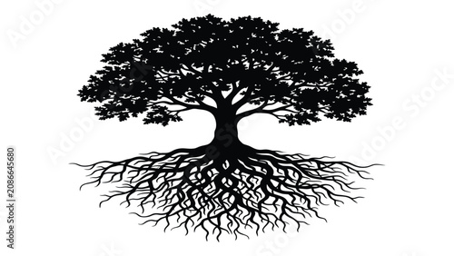 Cuadro en lienzo Tree showing visible roots and dense canopy represents a strong connection to the earth below