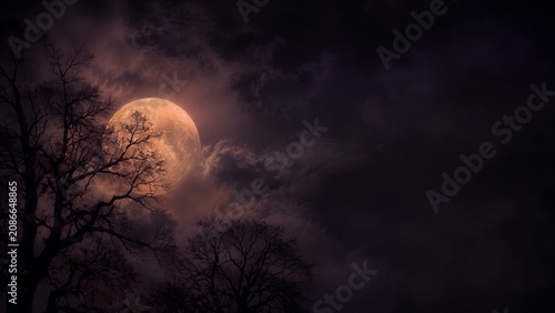 Full moon shining over dark silhouettes of bare tree in night sky. Scary gloomy landscape for Halloween background. Mysterious scene with dark clouds and horror atmosphere concept.
